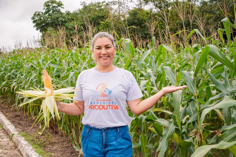  <div class='credito_fotos'>Foto: Karla Reis &nbsp;&nbsp;|&nbsp;&nbsp; <a href='/midias/2024/originais/7815_03626a85-071c-af5e-46b8-e3aef408635b.jpg' download><i class='fa-solid fa-download'></i> Download</a></div>