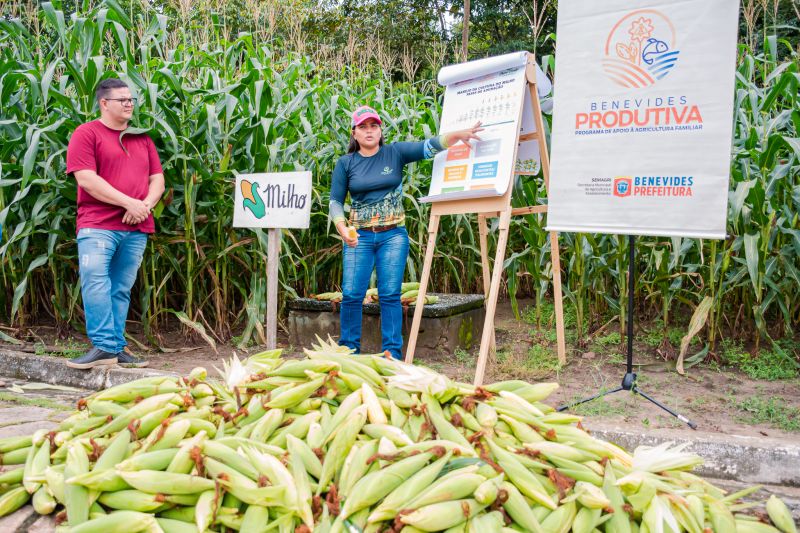  <div class='credito_fotos'>Foto: Karla Reis &nbsp;&nbsp;|&nbsp;&nbsp; <a href='/midias/2024/originais/7815_237e67c2-8098-2b72-c6e0-38ae6fec6f94.jpg' download><i class='fa-solid fa-download'></i> Download</a></div>