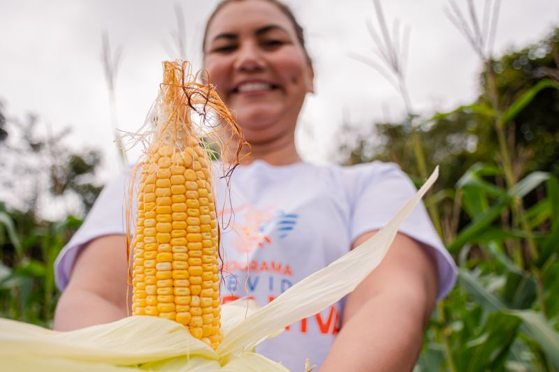  <div class='credito_fotos'>Foto: Karla Reis &nbsp;&nbsp;|&nbsp;&nbsp; <a href='/midias/2024/originais/7815_2af82c60-61b2-9475-a5d1-479f9fab8bb1.jpg' download><i class='fa-solid fa-download'></i> Download</a></div>