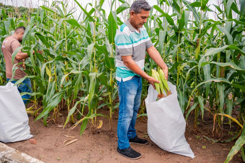  <div class='credito_fotos'>Foto: Karla Reis &nbsp;&nbsp;|&nbsp;&nbsp; <a href='/midias/2024/originais/7815_359d1f61-9141-27cd-bf28-69b90820869e.jpg' download><i class='fa-solid fa-download'></i> Download</a></div>