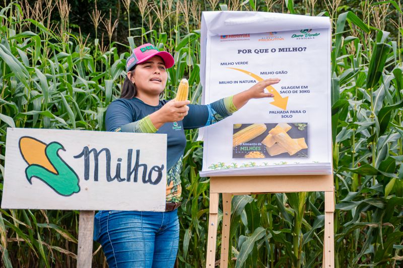  <div class='credito_fotos'>Foto: Karla Reis &nbsp;&nbsp;|&nbsp;&nbsp; <a href='/midias/2024/originais/7815_3a52d15b-1d5d-7132-5708-4f043ffe6e22.jpg' download><i class='fa-solid fa-download'></i> Download</a></div>