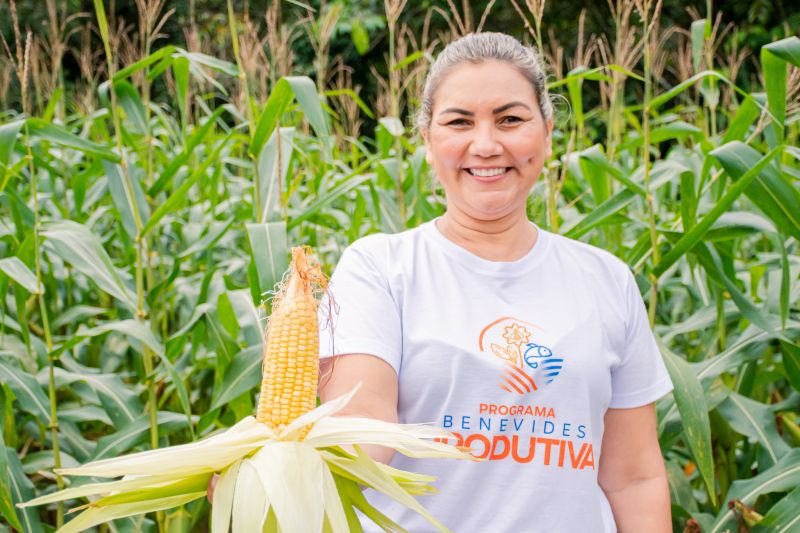  <div class='credito_fotos'>Foto: Karla Reis &nbsp;&nbsp;|&nbsp;&nbsp; <a href='/midias/2024/originais/7815_461d4694-3b15-173e-0231-26eb063bf58e.jpg' download><i class='fa-solid fa-download'></i> Download</a></div>