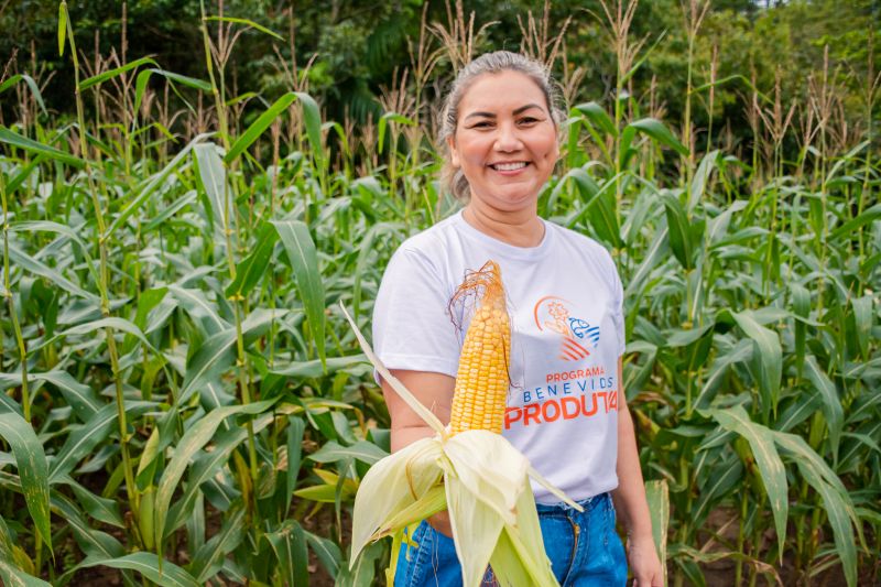  <div class='credito_fotos'>Foto: Karla Reis &nbsp;&nbsp;|&nbsp;&nbsp; <a href='/midias/2024/originais/7815_7093b163-5fb7-fd2e-1fe3-f1f00d13abe8.jpg' download><i class='fa-solid fa-download'></i> Download</a></div>