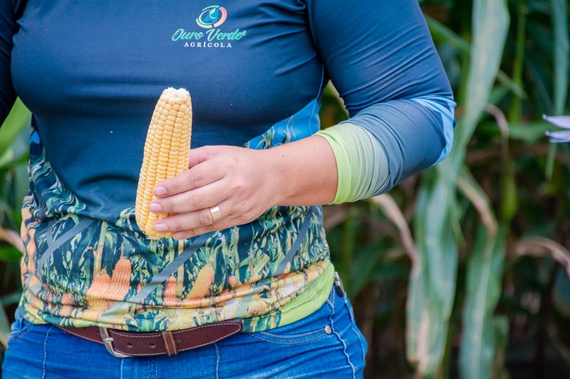  <div class='credito_fotos'>Foto: Karla Reis &nbsp;&nbsp;|&nbsp;&nbsp; <a href='/midias/2024/originais/7815_aca4818c-6567-4a59-f465-bd0db63375c6.jpg' download><i class='fa-solid fa-download'></i> Download</a></div>