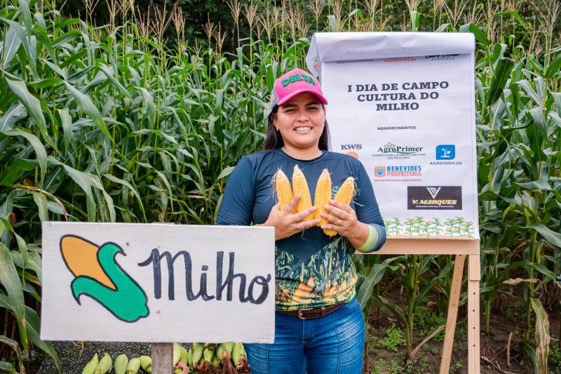  <div class='credito_fotos'>Foto: Karla Reis &nbsp;&nbsp;|&nbsp;&nbsp; <a href='/midias/2024/originais/7815_aeff2cd5-c801-91a3-5c8a-0503e781d6b2.jpg' download><i class='fa-solid fa-download'></i> Download</a></div>