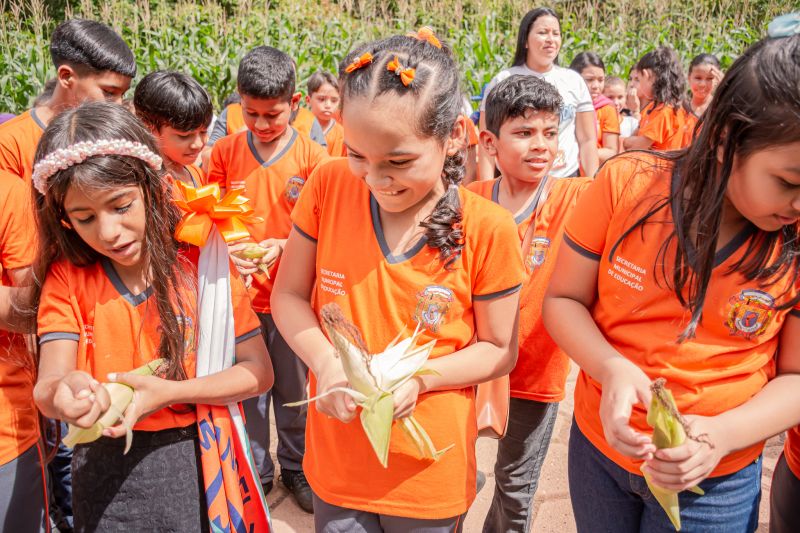  <div class='credito_fotos'>Foto: Karla Reis &nbsp;&nbsp;|&nbsp;&nbsp; <a href='/midias/2024/originais/7818_22c3bfa1-b6eb-0215-ae6a-b48886731525.jpg' download><i class='fa-solid fa-download'></i> Download</a></div>