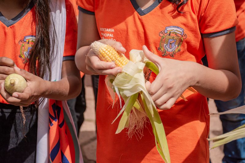  <div class='credito_fotos'>Foto: Karla Reis &nbsp;&nbsp;|&nbsp;&nbsp; <a href='/midias/2024/originais/7818_33bac1c6-0602-0a4d-ac04-1406ce7bfcb8.jpg' download><i class='fa-solid fa-download'></i> Download</a></div>