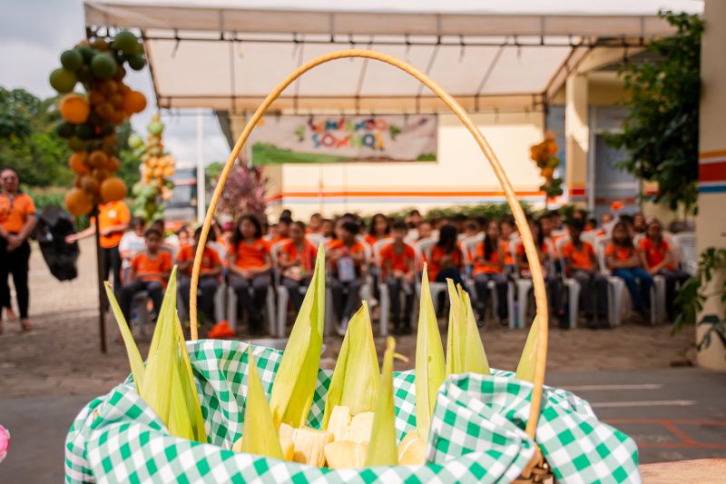  <div class='credito_fotos'>Foto: Karla Reis &nbsp;&nbsp;|&nbsp;&nbsp; <a href='/midias/2024/originais/7818_588f1eb1-b75a-70ab-1bc0-6c089e133fdf.jpg' download><i class='fa-solid fa-download'></i> Download</a></div>