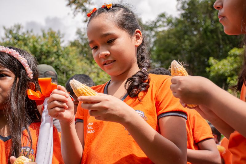  <div class='credito_fotos'>Foto: Karla Reis &nbsp;&nbsp;|&nbsp;&nbsp; <a href='/midias/2024/originais/7818_90e561a7-ecbf-e16e-7285-fd05cb334e22.jpg' download><i class='fa-solid fa-download'></i> Download</a></div>