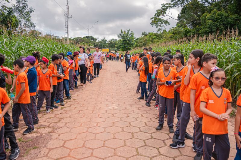  <div class='credito_fotos'>Foto: Karla Reis &nbsp;&nbsp;|&nbsp;&nbsp; <a href='/midias/2024/originais/7818_9d49e28f-cf88-5f8a-cbf2-6a702d3a2526.jpg' download><i class='fa-solid fa-download'></i> Download</a></div>