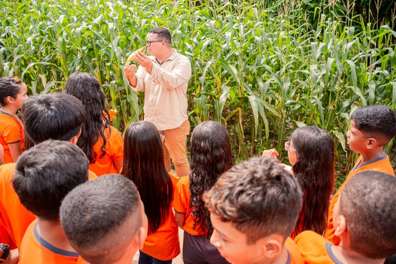  <div class='credito_fotos'>Foto: Karla Reis &nbsp;&nbsp;|&nbsp;&nbsp; <a href='/midias/2024/originais/7818_aad492c8-e0e0-d2a8-9800-30e1baa6d448.jpg' download><i class='fa-solid fa-download'></i> Download</a></div>