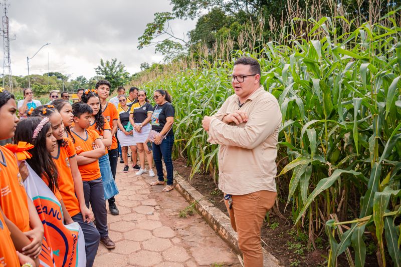  <div class='credito_fotos'>Foto: Karla Reis &nbsp;&nbsp;|&nbsp;&nbsp; <a href='/midias/2024/originais/7818_ae50f72e-e863-8504-12bf-56a99c88fc35.jpg' download><i class='fa-solid fa-download'></i> Download</a></div>