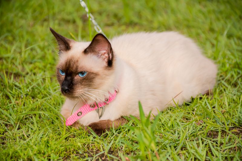  <div class='credito_fotos'>Foto: Karla Reis &nbsp;&nbsp;|&nbsp;&nbsp; <a href='/midias/2024/originais/7821_2336e595-fde7-a0a8-2e79-9ea2817ec825.jpg' download><i class='fa-solid fa-download'></i> Download</a></div>