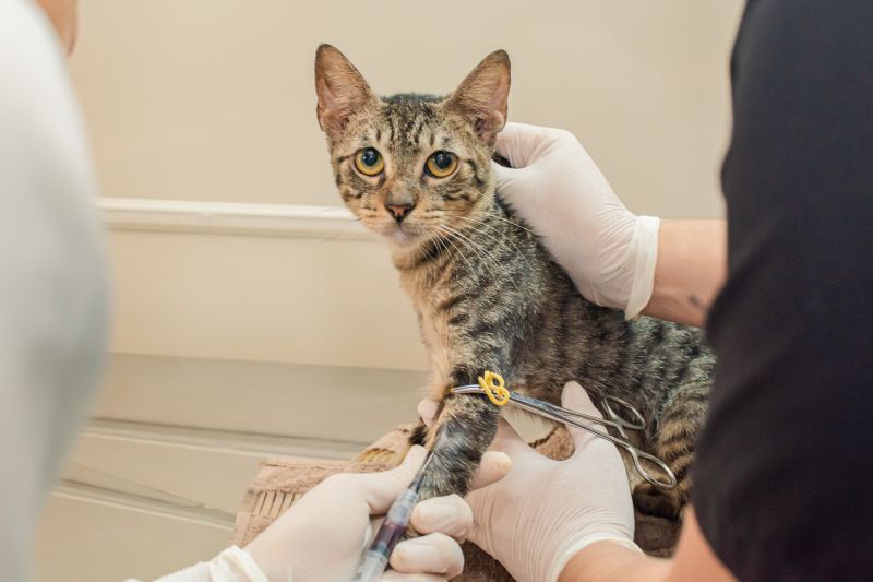  <div class='credito_fotos'>Foto: Karla Reis &nbsp;&nbsp;|&nbsp;&nbsp; <a href='/midias/2024/originais/7821_49a7d745-2c80-1563-82b7-24065f95bed8.jpg' download><i class='fa-solid fa-download'></i> Download</a></div>