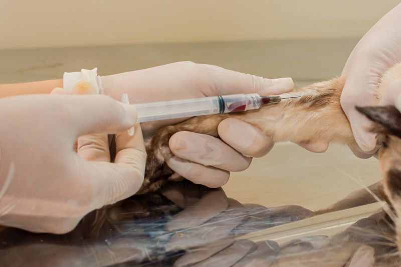  <div class='credito_fotos'>Foto: Karla Reis &nbsp;&nbsp;|&nbsp;&nbsp; <a href='/midias/2024/originais/7821_49df05d8-020c-4cfc-4dc1-c0eb04f85327.jpg' download><i class='fa-solid fa-download'></i> Download</a></div>