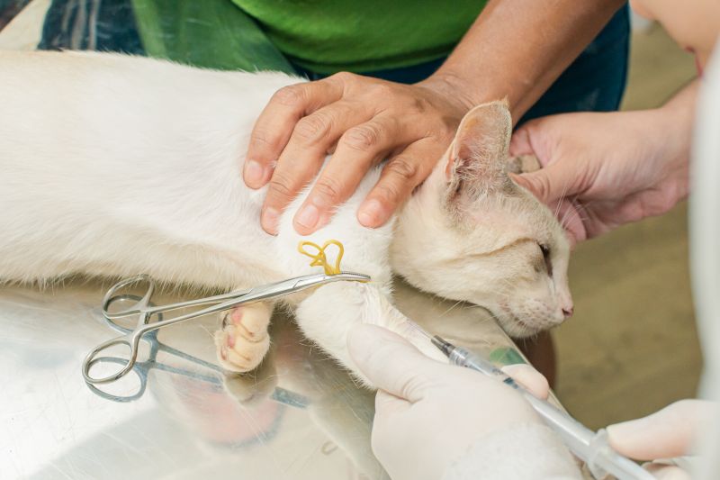  <div class='credito_fotos'>Foto: Karla Reis &nbsp;&nbsp;|&nbsp;&nbsp; <a href='/midias/2024/originais/7821_52b40031-163f-14d4-7059-eff2805d3419.jpg' download><i class='fa-solid fa-download'></i> Download</a></div>