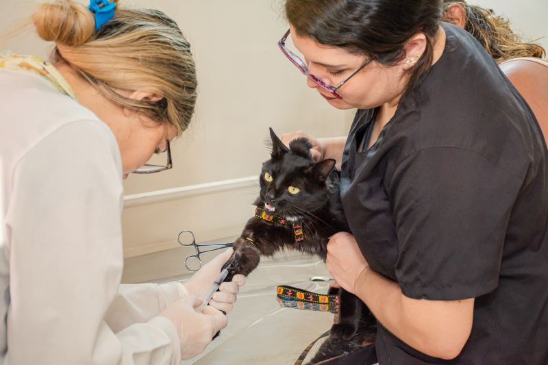  <div class='credito_fotos'>Foto: Karla Reis &nbsp;&nbsp;|&nbsp;&nbsp; <a href='/midias/2024/originais/7821_5521897f-5b83-6d7f-c0ab-d665083077ad.jpg' download><i class='fa-solid fa-download'></i> Download</a></div>