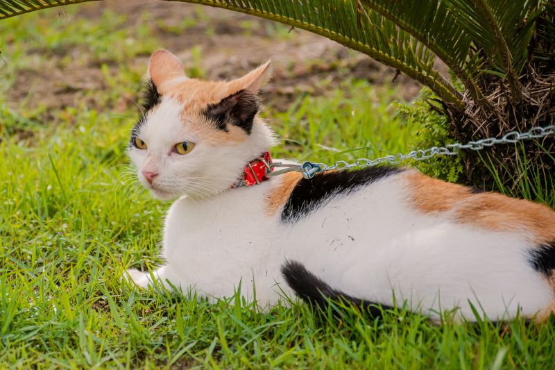  <div class='credito_fotos'>Foto: Karla Reis &nbsp;&nbsp;|&nbsp;&nbsp; <a href='/midias/2024/originais/7821_58c880c4-8272-dcc1-ef73-aaa869b6749d.jpg' download><i class='fa-solid fa-download'></i> Download</a></div>