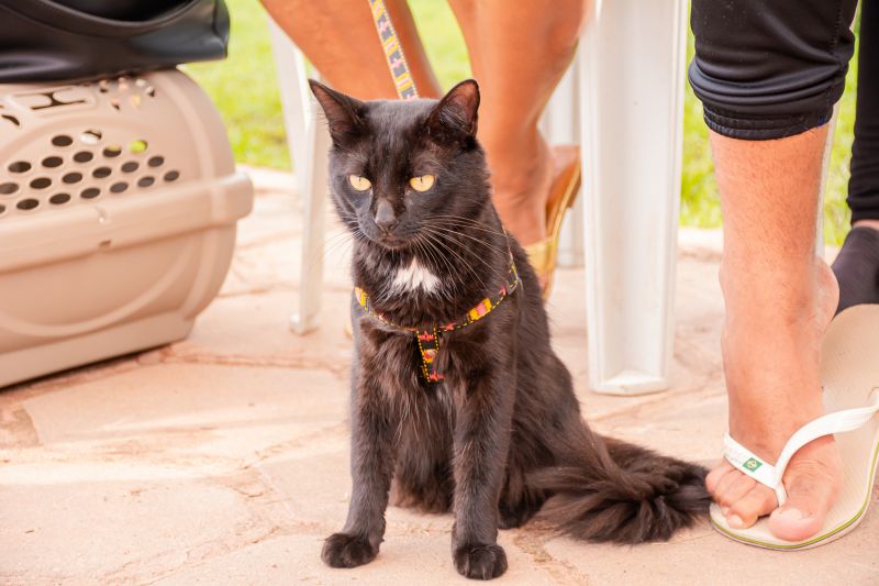  <div class='credito_fotos'>Foto: Karla Reis &nbsp;&nbsp;|&nbsp;&nbsp; <a href='/midias/2024/originais/7821_c63cbcb3-63a4-3c3f-65c9-a916f3b9df53.jpg' download><i class='fa-solid fa-download'></i> Download</a></div>