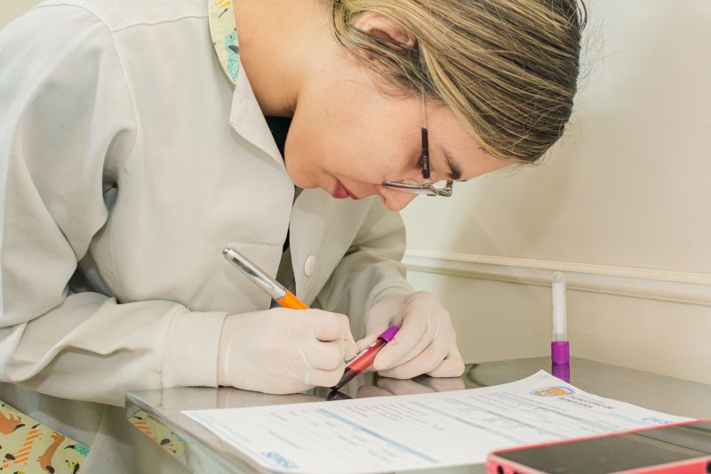  <div class='credito_fotos'>Foto: Karla Reis &nbsp;&nbsp;|&nbsp;&nbsp; <a href='/midias/2024/originais/7821_cb595339-331c-e054-83ea-90d2f6010281.jpg' download><i class='fa-solid fa-download'></i> Download</a></div>