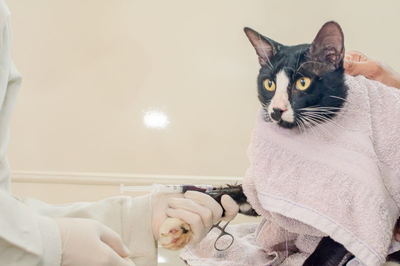  <div class='credito_fotos'>Foto: Karla Reis &nbsp;&nbsp;|&nbsp;&nbsp; <a href='/midias/2024/originais/7821_e396adcd-64eb-e10d-fdd6-bfa333001945.jpg' download><i class='fa-solid fa-download'></i> Download</a></div>