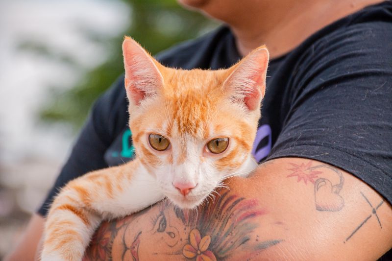  <div class='credito_fotos'>Foto: Karla Reis &nbsp;&nbsp;|&nbsp;&nbsp; <a href='/midias/2024/originais/7821_e7291b8a-ab30-b194-645e-059f5c531213.jpg' download><i class='fa-solid fa-download'></i> Download</a></div>