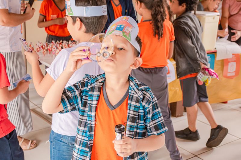  <div class='credito_fotos'>Foto: Karla Reis &nbsp;&nbsp;|&nbsp;&nbsp; <a href='/midias/2024/originais/7834_51c8ab5e-1d58-0c54-81d1-7227727803b5.jpg' download><i class='fa-solid fa-download'></i> Download</a></div>