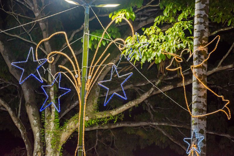  <div class='credito_fotos'>Foto: Karla Reis &nbsp;&nbsp;|&nbsp;&nbsp; <a href='/midias/2024/originais/7868_016fe490-c18e-6e71-4ba9-1f9ddaa2938e.jpg' download><i class='fa-solid fa-download'></i> Download</a></div>