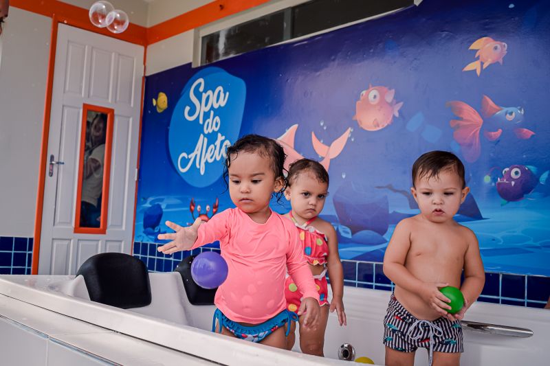  <div class='credito_fotos'>Foto: Karla Reis &nbsp;&nbsp;|&nbsp;&nbsp; <a href='/midias/2024/originais/7878_ac88a44f-269a-2fc9-ef0a-9306c978d827.jpg' download><i class='fa-solid fa-download'></i> Download</a></div>