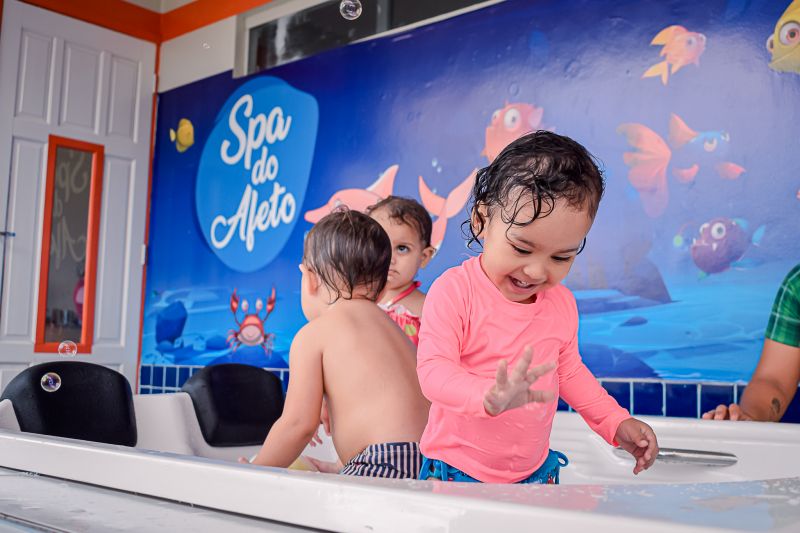  <div class='credito_fotos'>Foto: Karla Reis &nbsp;&nbsp;|&nbsp;&nbsp; <a href='/midias/2024/originais/7878_fa7e9607-9b7b-8a00-7cbf-c9f3c55d9f01.jpg' download><i class='fa-solid fa-download'></i> Download</a></div>