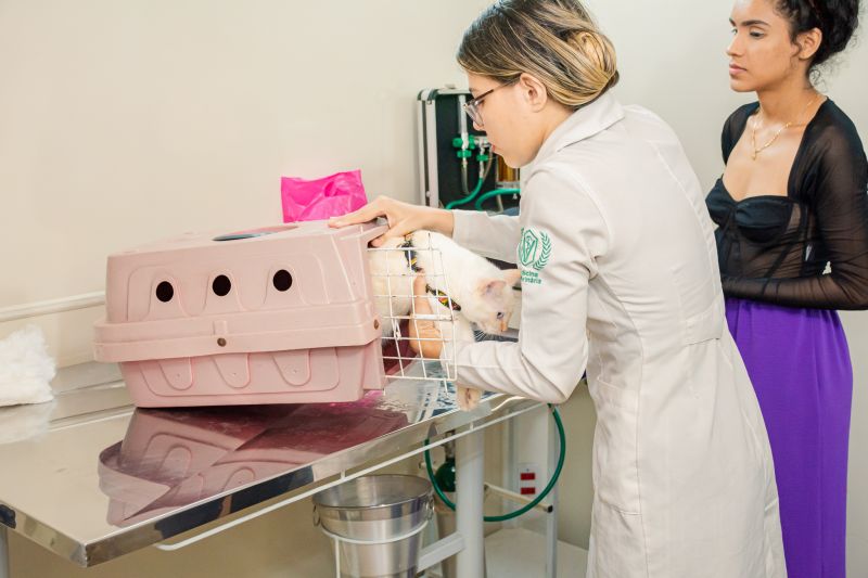  <div class='credito_fotos'>Foto: Karla Reis &nbsp;&nbsp;|&nbsp;&nbsp; <a href='/midias/2024/originais/7895_5f8cfcba-471c-4e34-369f-0ddf6e3fb4b5.jpg' download><i class='fa-solid fa-download'></i> Download</a></div>