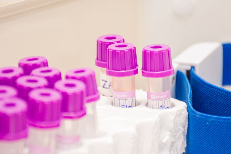  <div class='credito_fotos'>Foto: Karla Reis &nbsp;&nbsp;|&nbsp;&nbsp; <a href='/midias/2024/originais/7895_8f3aed65-8961-878d-4db2-7434a95d89c1.jpg' download><i class='fa-solid fa-download'></i> Download</a></div>