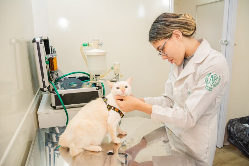  <div class='credito_fotos'>Foto: Karla Reis &nbsp;&nbsp;|&nbsp;&nbsp; <a href='/midias/2024/originais/7895_b5090c5d-bcf7-fd1a-19a7-2a01b71b37f4.jpg' download><i class='fa-solid fa-download'></i> Download</a></div>