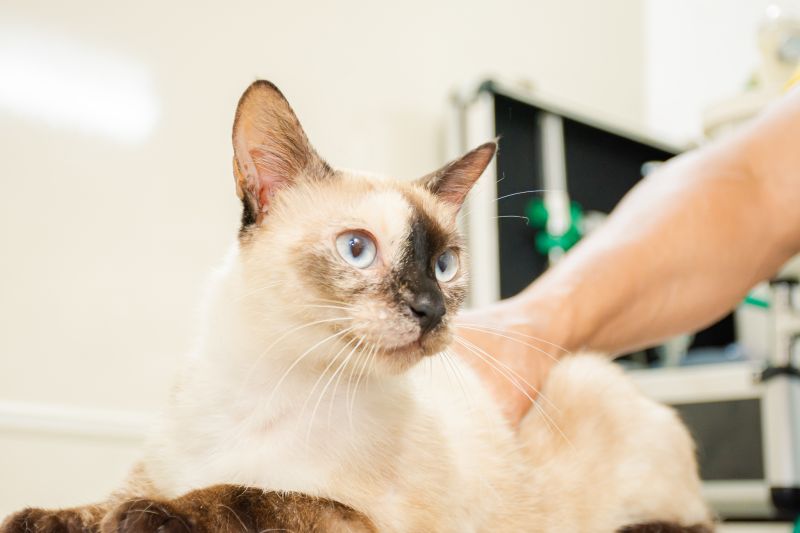  <div class='credito_fotos'>Foto: Karla Reis &nbsp;&nbsp;|&nbsp;&nbsp; <a href='/midias/2024/originais/7895_bd86956f-a319-9652-d568-d3903a5e9069.jpg' download><i class='fa-solid fa-download'></i> Download</a></div>