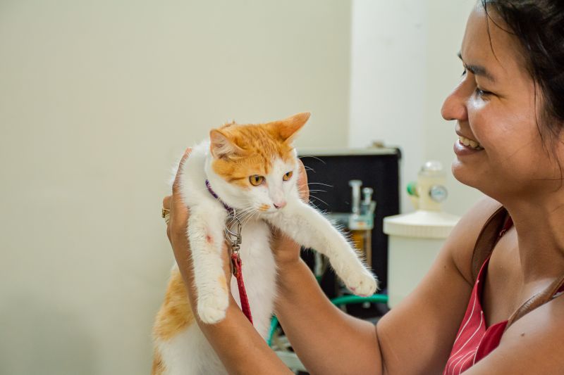  <div class='credito_fotos'>Foto: Karla Reis &nbsp;&nbsp;|&nbsp;&nbsp; <a href='/midias/2024/originais/7895_f5add7de-dd94-f052-128f-2a01211a201a.jpg' download><i class='fa-solid fa-download'></i> Download</a></div>