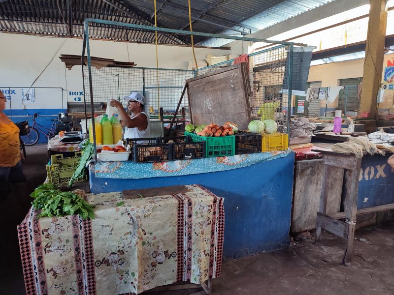  <div class='credito_fotos'>Foto: Karla Reis &nbsp;&nbsp;|&nbsp;&nbsp; <a href='/midias/2024/originais/7912_0ad7220b-5104-7738-958a-728952dd0386.jpg' download><i class='fa-solid fa-download'></i> Download</a></div>