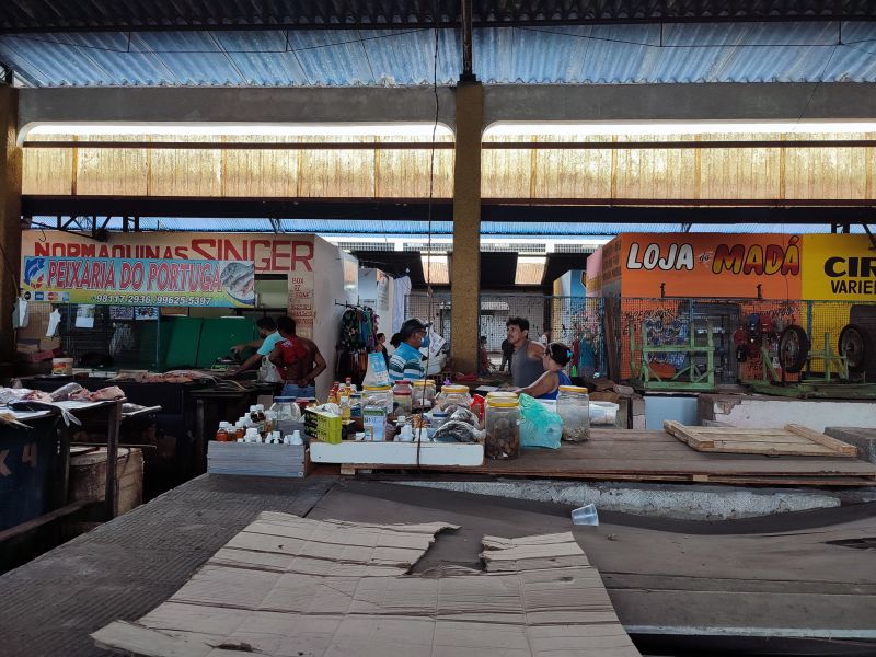  <div class='credito_fotos'>Foto: Karla Reis &nbsp;&nbsp;|&nbsp;&nbsp; <a href='/midias/2024/originais/7912_3075bcde-6118-2fae-52f4-d13dabf28812.jpg' download><i class='fa-solid fa-download'></i> Download</a></div>