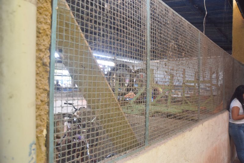  <div class='credito_fotos'>Foto: Karla Reis &nbsp;&nbsp;|&nbsp;&nbsp; <a href='/midias/2024/originais/7912_3ed02246-8f79-5110-d9e3-cd1f8e3fb5bd.jpg' download><i class='fa-solid fa-download'></i> Download</a></div>