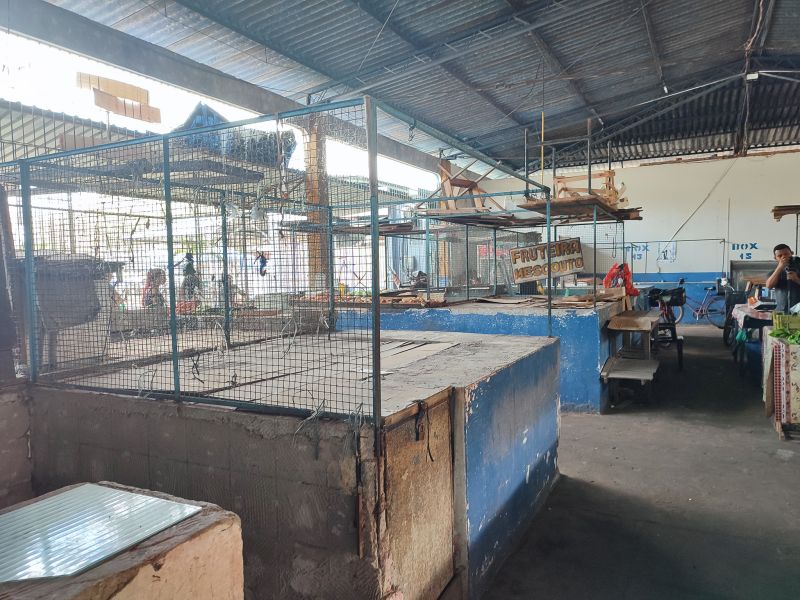  <div class='credito_fotos'>Foto: Karla Reis &nbsp;&nbsp;|&nbsp;&nbsp; <a href='/midias/2024/originais/7912_4b13b622-a3ba-53cf-606c-2163345cc34e.jpg' download><i class='fa-solid fa-download'></i> Download</a></div>