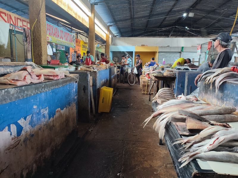  <div class='credito_fotos'>Foto: Karla Reis &nbsp;&nbsp;|&nbsp;&nbsp; <a href='/midias/2024/originais/7912_934aa4fb-8c83-e3a4-8234-36909dbdce98.jpg' download><i class='fa-solid fa-download'></i> Download</a></div>