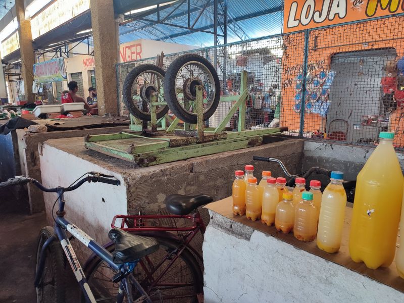  <div class='credito_fotos'>Foto: Karla Reis &nbsp;&nbsp;|&nbsp;&nbsp; <a href='/midias/2024/originais/7912_c6d7f828-7012-281f-9d5d-6bbe9c5fc06c.jpg' download><i class='fa-solid fa-download'></i> Download</a></div>