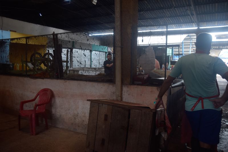  <div class='credito_fotos'>Foto: Karla Reis &nbsp;&nbsp;|&nbsp;&nbsp; <a href='/midias/2024/originais/7912_d45d9902-158e-6dce-a62a-94d2133e6b8e.jpg' download><i class='fa-solid fa-download'></i> Download</a></div>