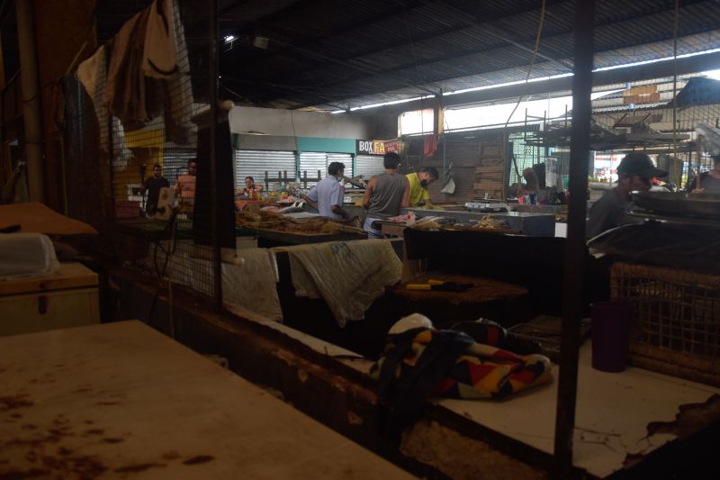  <div class='credito_fotos'>Foto: Karla Reis &nbsp;&nbsp;|&nbsp;&nbsp; <a href='/midias/2024/originais/7912_d8dccc72-9436-8723-04dd-067fc15d0347.jpg' download><i class='fa-solid fa-download'></i> Download</a></div>