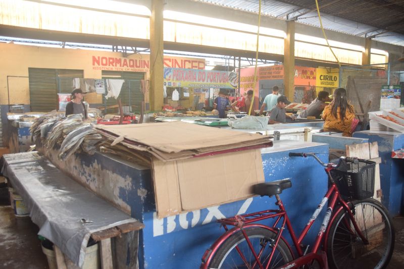  <div class='credito_fotos'>Foto: Karla Reis &nbsp;&nbsp;|&nbsp;&nbsp; <a href='/midias/2024/originais/7912_f4fd4d8f-a909-e026-207f-152fa50bdc7c.jpg' download><i class='fa-solid fa-download'></i> Download</a></div>