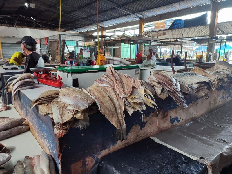  <div class='credito_fotos'>Foto: Karla Reis &nbsp;&nbsp;|&nbsp;&nbsp; <a href='/midias/2024/originais/7912_f7fc127f-c463-d3bc-e9fb-96d3e4a21985.jpg' download><i class='fa-solid fa-download'></i> Download</a></div>