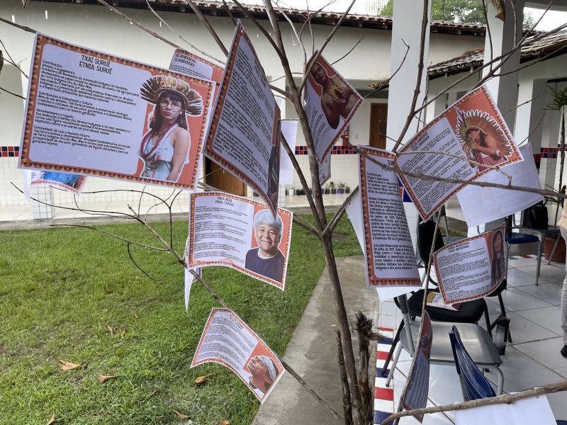 Crédito: Belisa Nunes