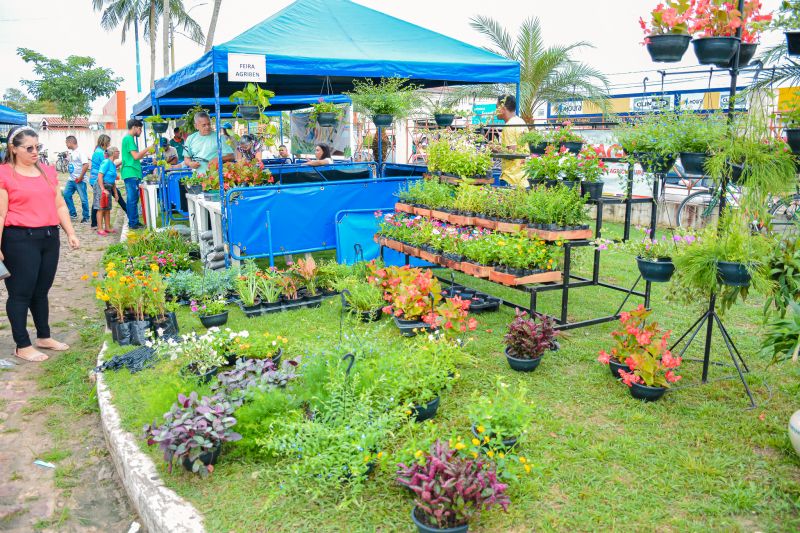  <div class='credito_fotos'>Foto: Karla Reis &nbsp;&nbsp;|&nbsp;&nbsp; <a href='/midias/2024/originais/7932_67b7fbdc-5747-917f-84d2-b183b28740dc.jpg' download><i class='fa-solid fa-download'></i> Download</a></div>