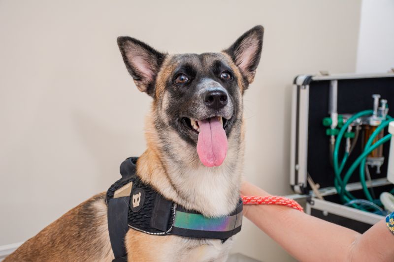  <div class='credito_fotos'>Foto: Karla Reis &nbsp;&nbsp;|&nbsp;&nbsp; <a href='/midias/2024/originais/7933_200cc8b1-9e6d-f60c-1405-0a74e1b27d04.jpg' download><i class='fa-solid fa-download'></i> Download</a></div>