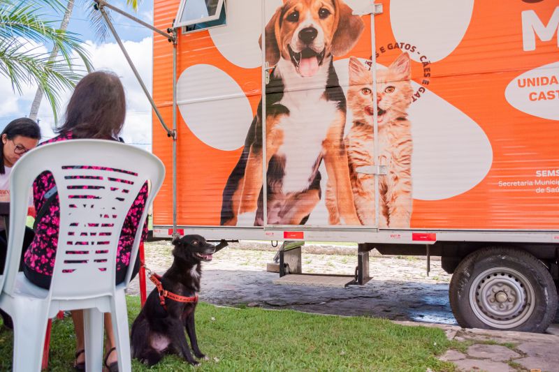  <div class='credito_fotos'>Foto: Karla Reis &nbsp;&nbsp;|&nbsp;&nbsp; <a href='/midias/2024/originais/7933_3c621de7-e577-2e9d-5326-6dcc5619b26e.jpg' download><i class='fa-solid fa-download'></i> Download</a></div>