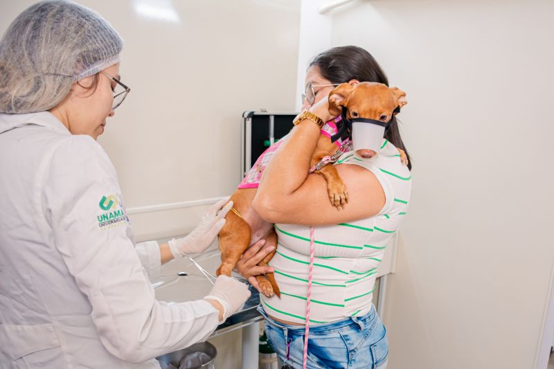  <div class='credito_fotos'>Foto: Karla Reis &nbsp;&nbsp;|&nbsp;&nbsp; <a href='/midias/2024/originais/7933_8e9d44f5-fc30-2e53-93b0-9fc0dc789f68.jpg' download><i class='fa-solid fa-download'></i> Download</a></div>